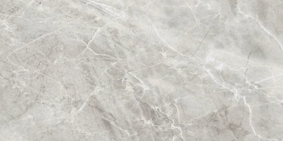 Керамогранит Axima Delhi 60*120см серый (1уп/1,44м2) k4hTIV9tiJ4MhkHb8bmJ72