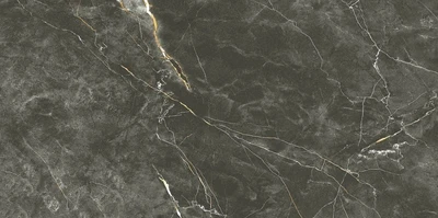 Керамогранит Primavera CR234 Wilton Black 600*1200 (1уп/1,44м2) lmdpyJzMhE7j4EbdYx2jR0