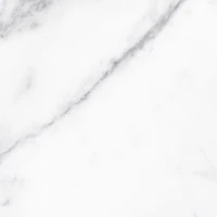 731200 Керамогранит 450*450*8 Bianco Белый (1,22 м2) H2O4f3VNgGQ9pwDjSPcE90