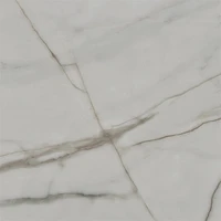Керамогранит Primavera NG100 Торозо Glossy 600*600*9мм, (упак 5 шт/1,8 м²) 9hb8ruVkiJEYIjrcudHZf1