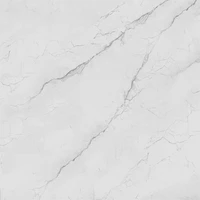 Керамогранит Primavera NG103 Ането glossy 600*600*9мм, (упак 5 шт/1,8 м²) khXHORoMiLCJBXTRbcghj2