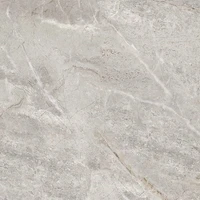 Керамогранит ProGRES Matera серый GSR0071 600*600*10 мм (упак 4 шт/1,44 м²) Ke9XedNBjacnwSsP18pos3