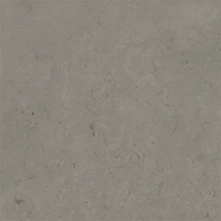 Керамогранит Primavera NR139 Суган Матовый 600*600*9мм, (упак 5 шт/1,8 м²) ZeYf28FFh8Ks3W6HMi5py1