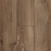 Ламинат Kastamonu "SUNFLOOR" 33кл. 60 Дуб Берлин ( 1380x161x8мм) Фаска с 4- сторон, 1уп/11шт, 2,444м2 7Et1kQQMjwr97UQY1PxGD2