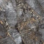 Керамогранит Primavera CR211 Canyon Grey Carving 600*1200 (1уп/1,44м2) R742OOd-inaGQVFi9TrjJ0